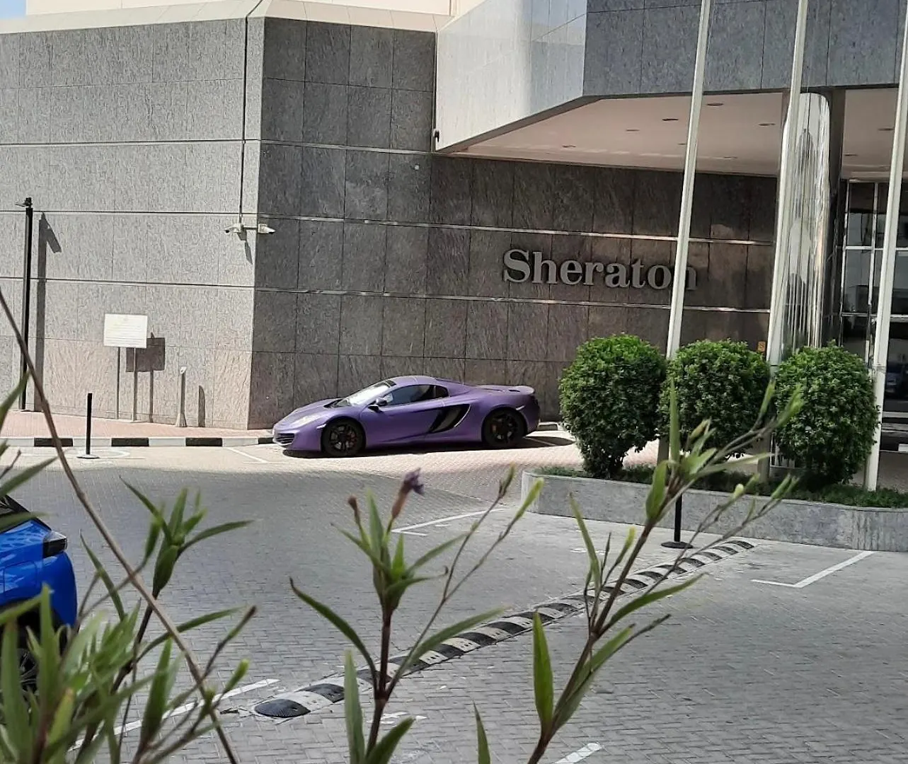 Apartments In The Center Of Dubai Marina Kg4